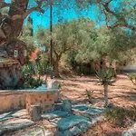 El Paradiso