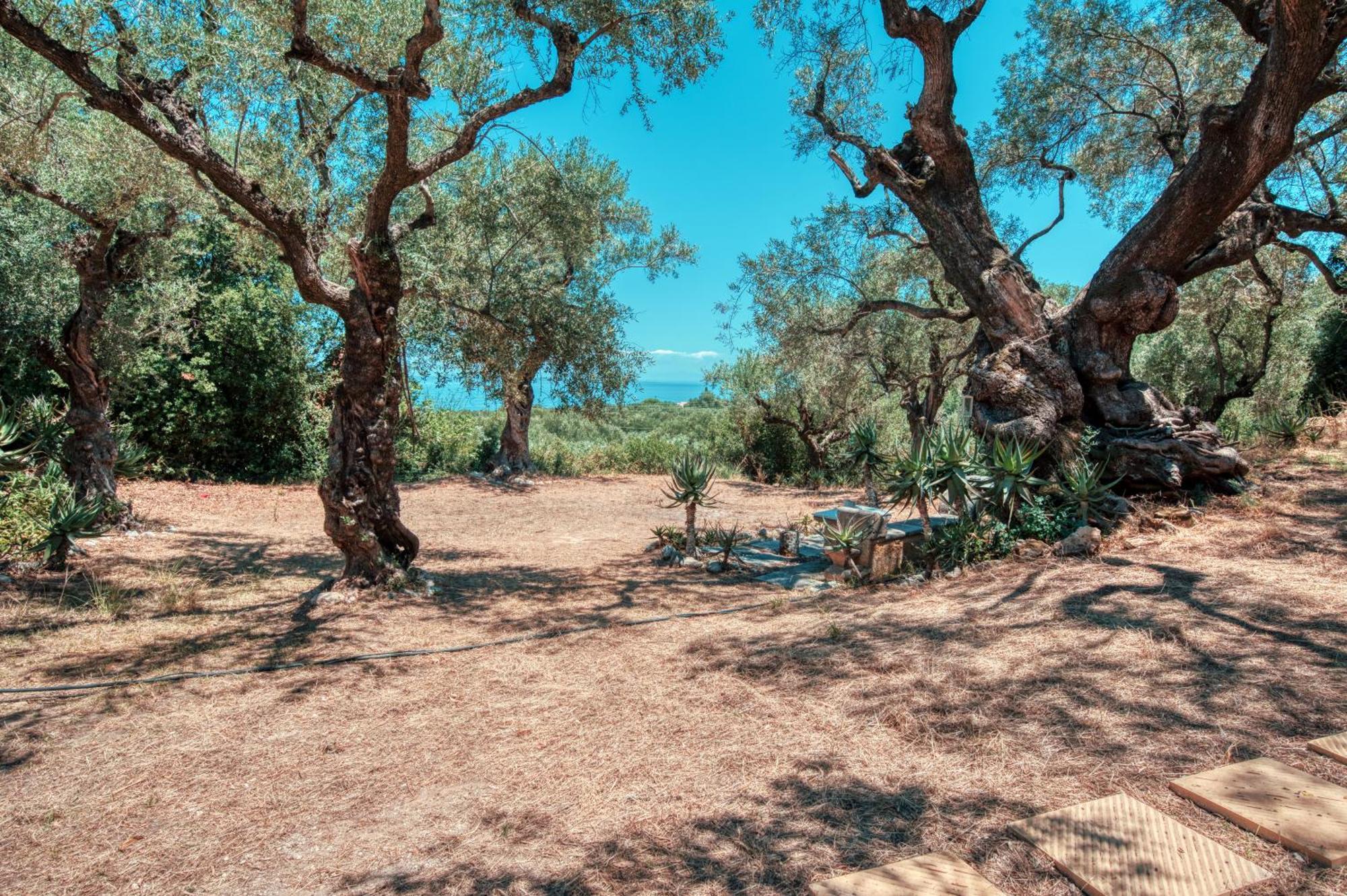 El Paradiso Vakantiehuis Akrotiri (Zakynthos)