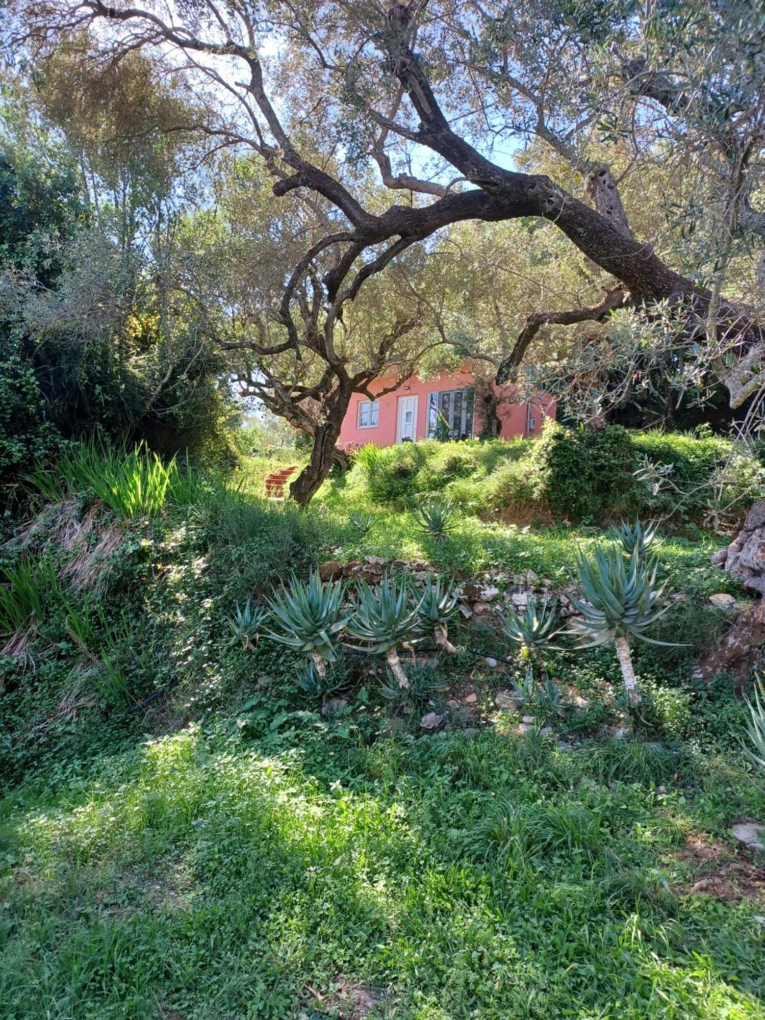 El Paradiso Vakantiehuis