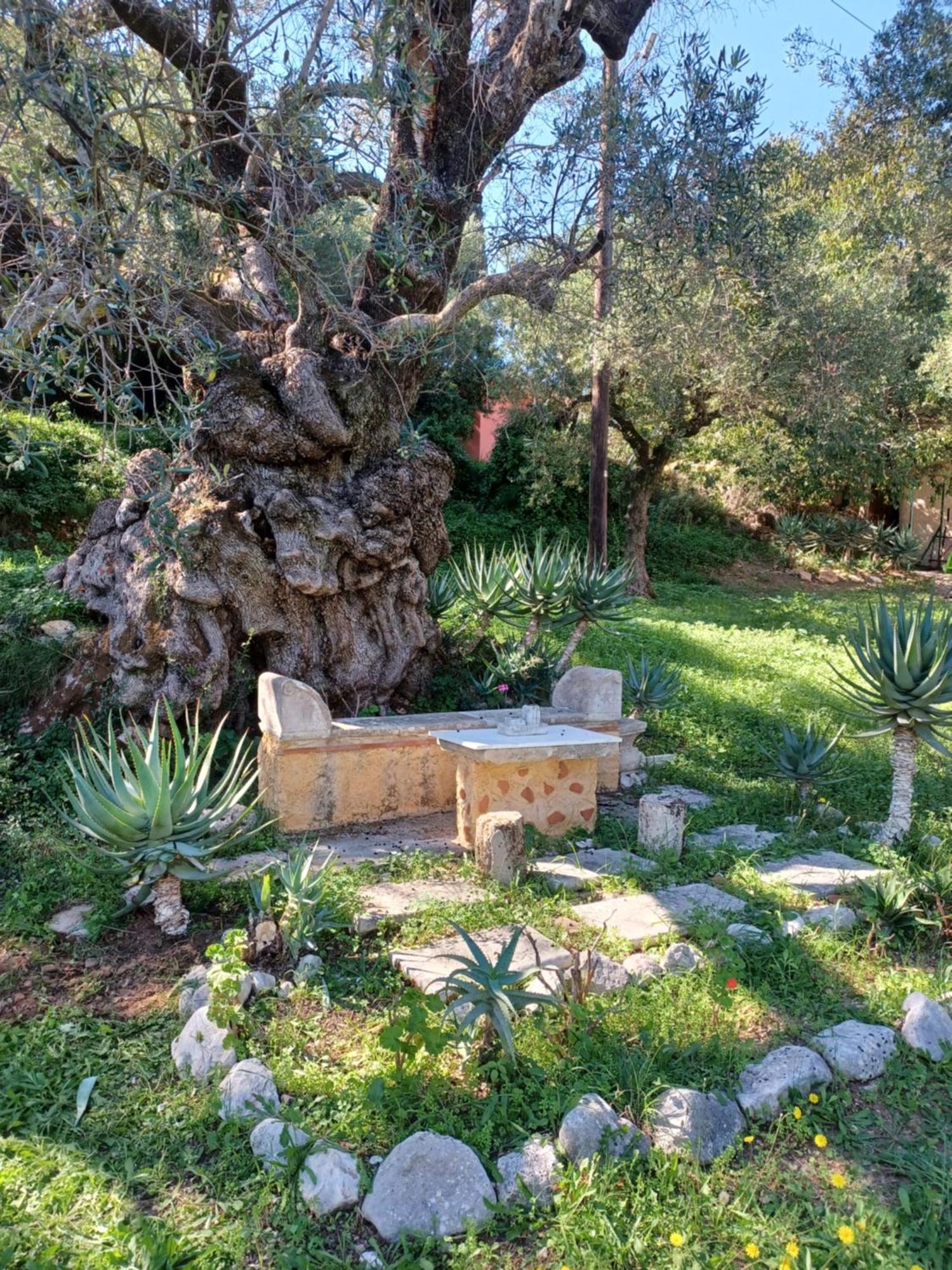 El Paradiso Vakantiehuis
